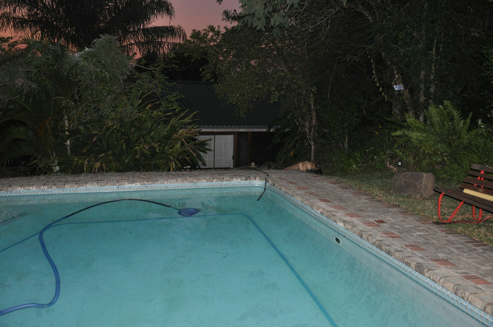 Viewpoint Lodge & Safari Tours Hazyview Eksteriør bilde